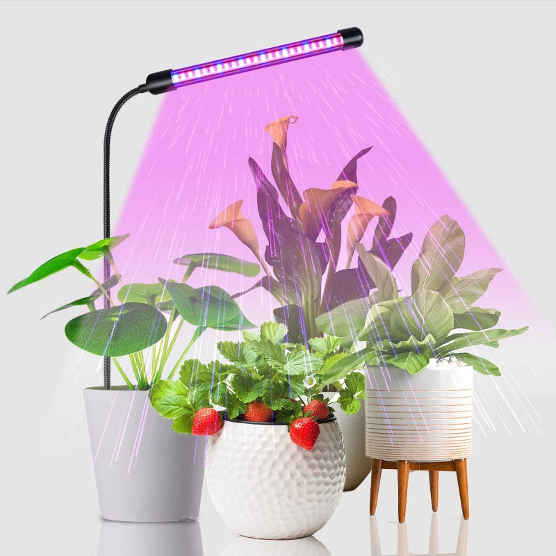 BountiGlow PetiteFlex Gooseneck Lamp for Succulents