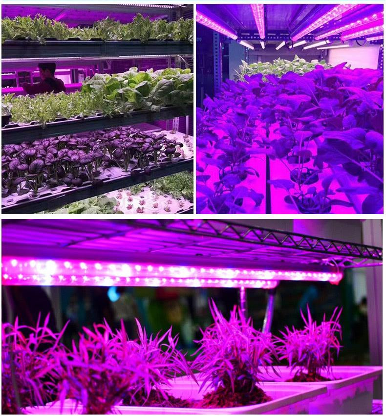 BountiGlow LiteBar Full Spectrum LED Grow Light Strip